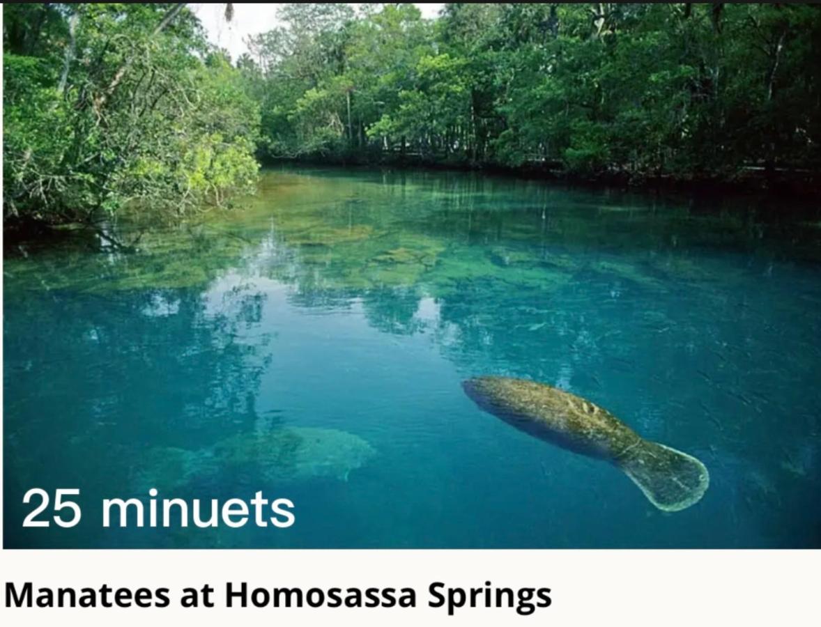 Bonne Nuit Weeki Wachee Villa Bagian luar foto